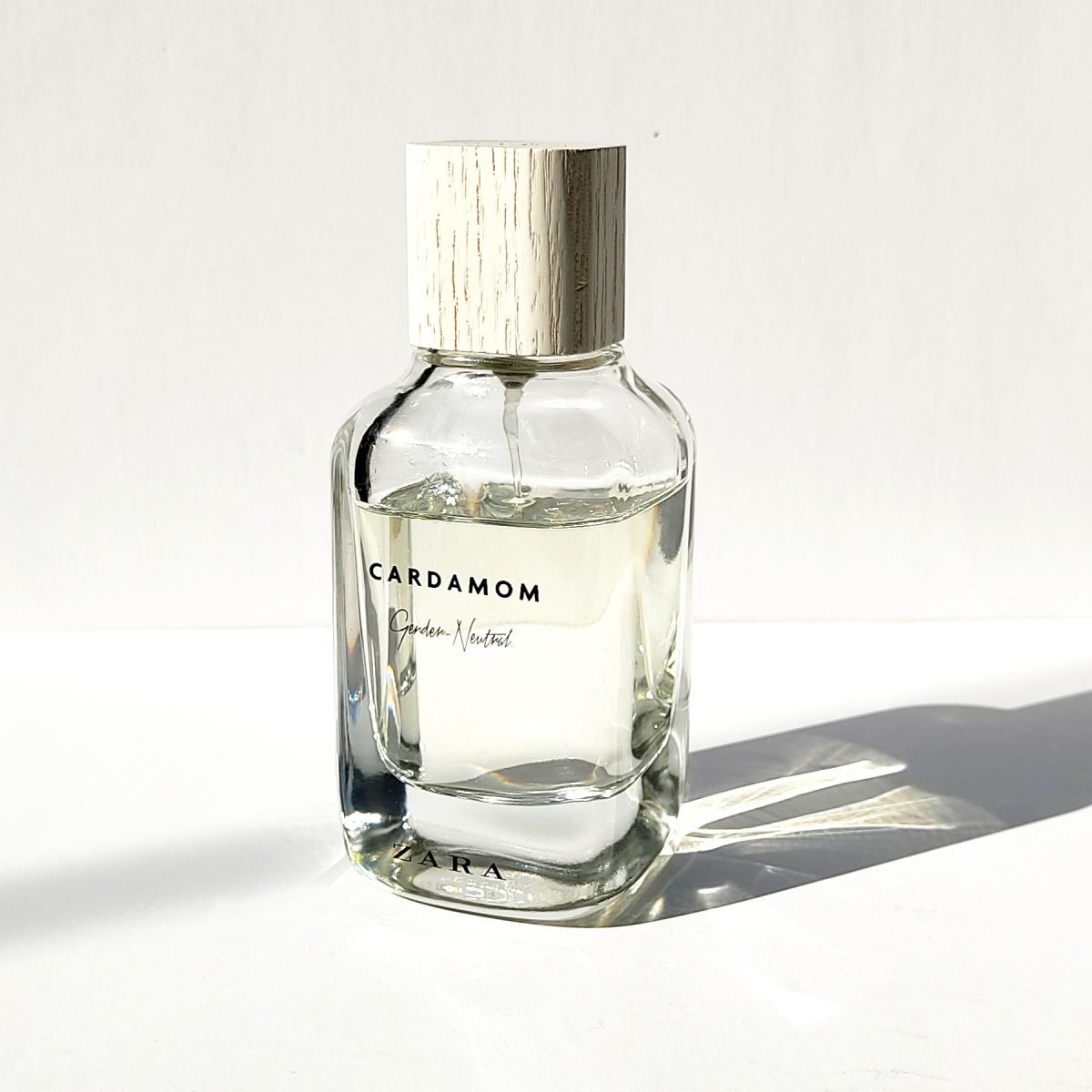 عطر ادکلن هل زارا - Cardamom - Gender Neutral Zara - بررسی، قیمت و خرید