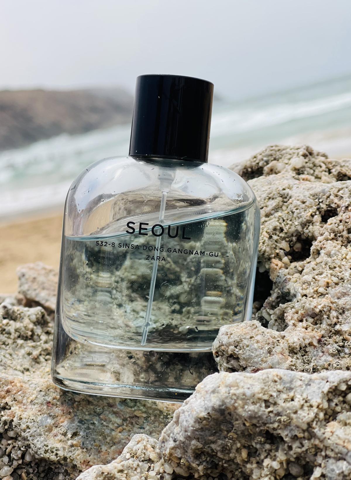 عطر ادکلن زارا سئول ۵۳۲-۸ سینسا دونگ گانگنام-گو زارا - Zara Seoul 532-8 Sinsa Dong Gangnam-Gu Zara - بررسی، قیمت و خرید