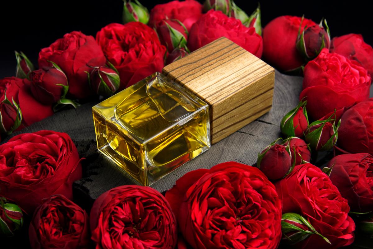 عطر ادکلن دید عود وی دات - Dead Oud Vdot - بررسی، قیمت و خرید