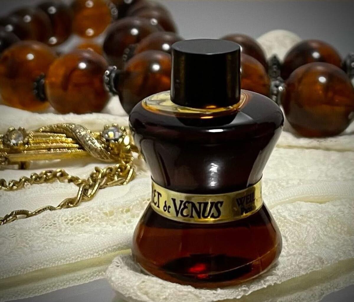 عطر ادکلن سیکرت د ونوس ول - Secret De Venus Weil - بررسی، قیمت و خرید