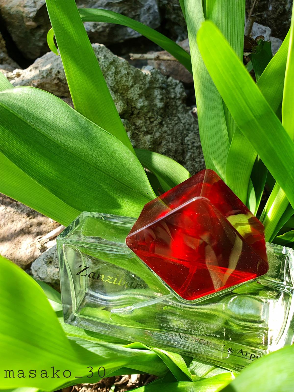 عطر ادکلن زانزیبار ون کلیف اند آرپلز - Zanzibar Van Cleef & Arpels - بررسی، قیمت و خرید