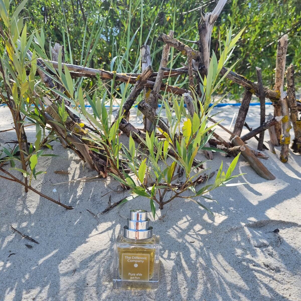 عطر ادکلن پیور ایو د دیفرنت کمپانی - Pure eVe The Different Company - بررسی، قیمت و خرید