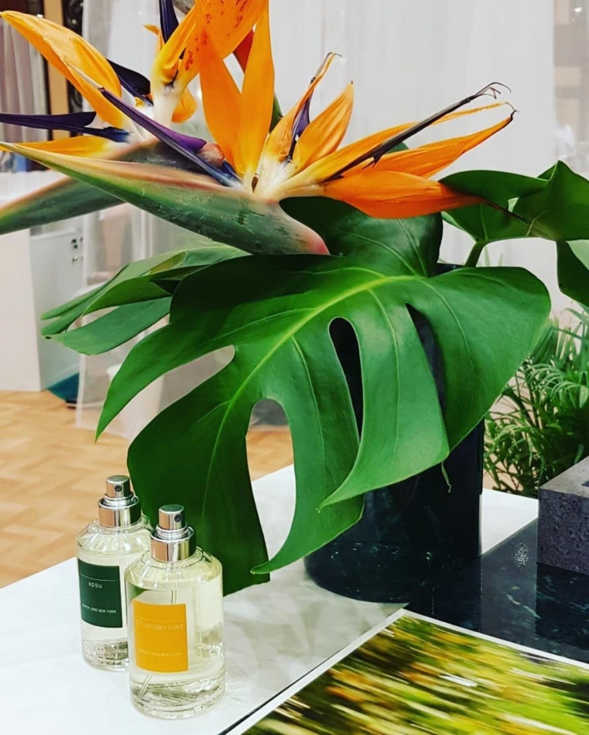 عطر ادکلن اپسو اولریش لانگ - APSU Ulrich Lang - بررسی، قیمت و خرید