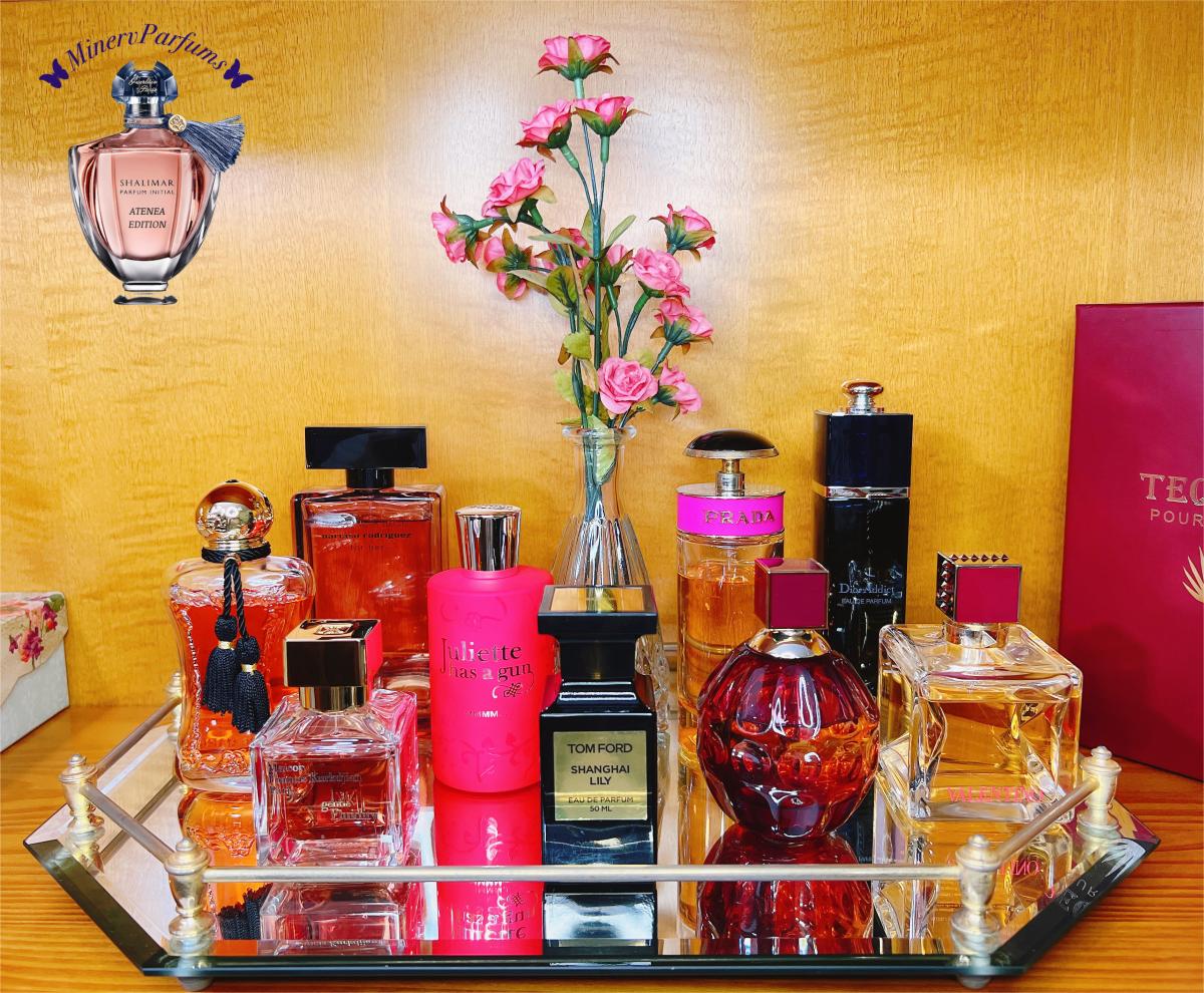 عطر ادکلن شانگهای لیلی تام فورد - Shanghai Lily Tom Ford - بررسی، قیمت و خرید