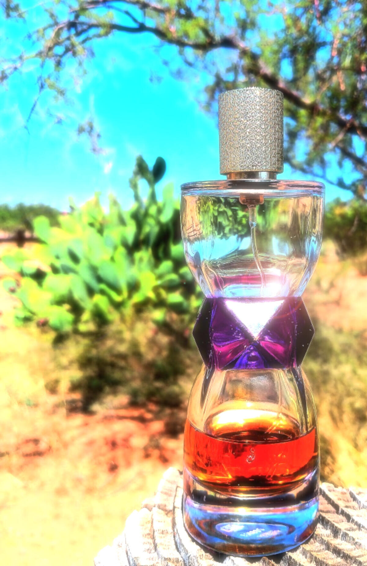 عطر ادکلن مانیفستو ایو سن لورن - Manifesto Yves Saint Laurent - بررسی، قیمت و خرید