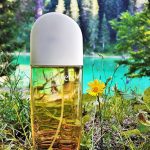 عطر ادکلن سان فلاورز سانرایز الیزابت آردن - Sunflowers Sunrise Elizabeth Arden - بررسی، قیمت و خرید