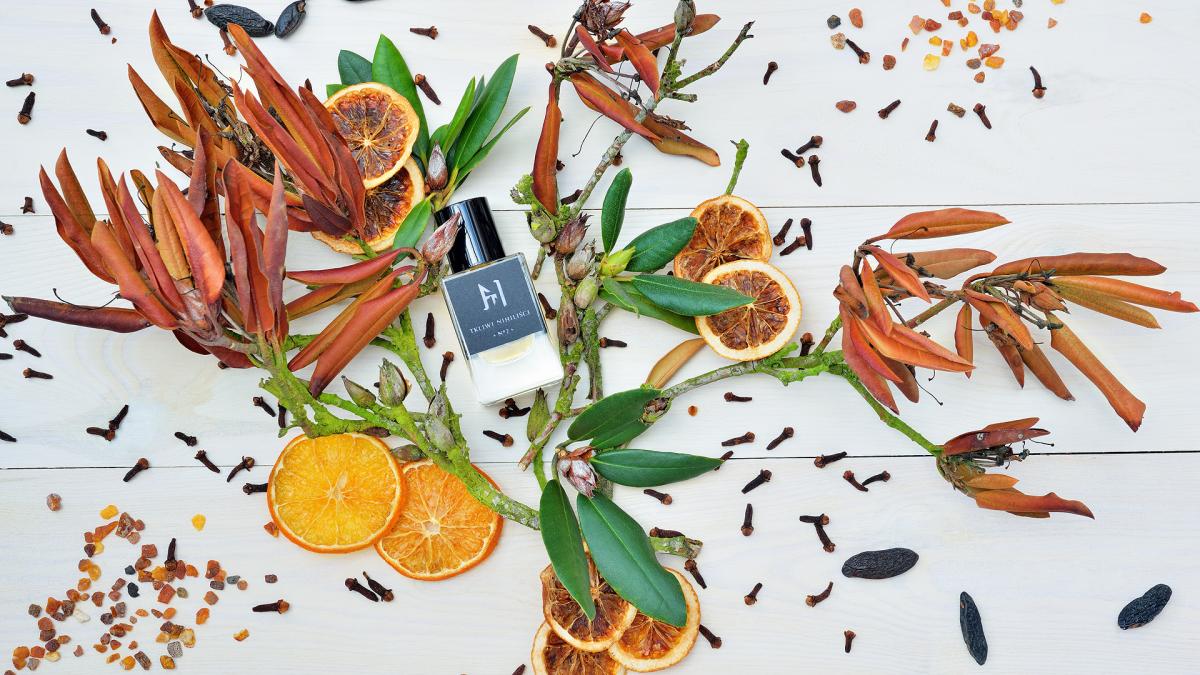 عطر ادکلن لو دو پرفیوم نامبر دو تکلیوی نیهیلیسکی - L'EAU DE PARFUM N°2 Tkliwi Nihilisci - بررسی، قیمت و خرید