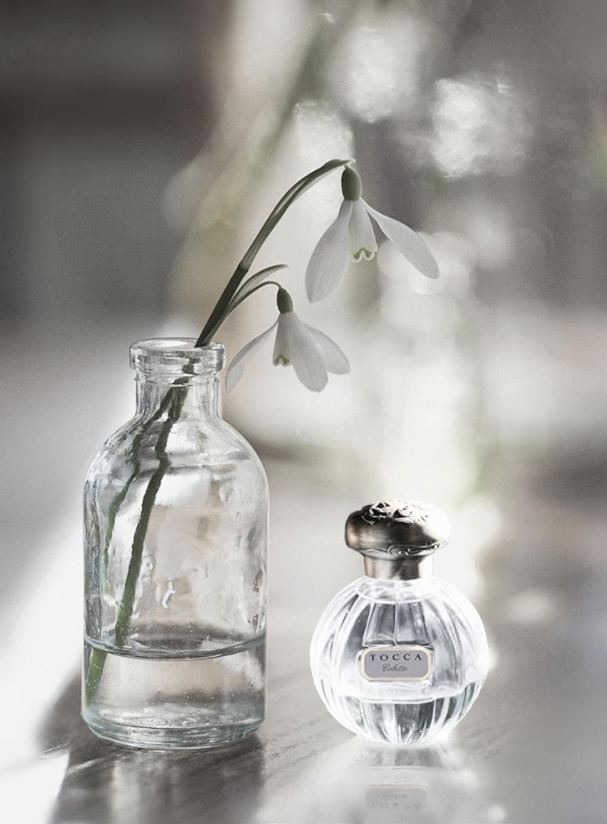 عطر ادکلن کولت توکا - Colette Tocca - بررسی، قیمت و خرید