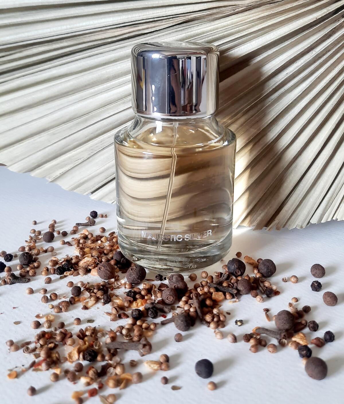 عطر ادکلن مجستیک سیلور زارا - Majestic Silver Zara - بررسی، قیمت و خرید