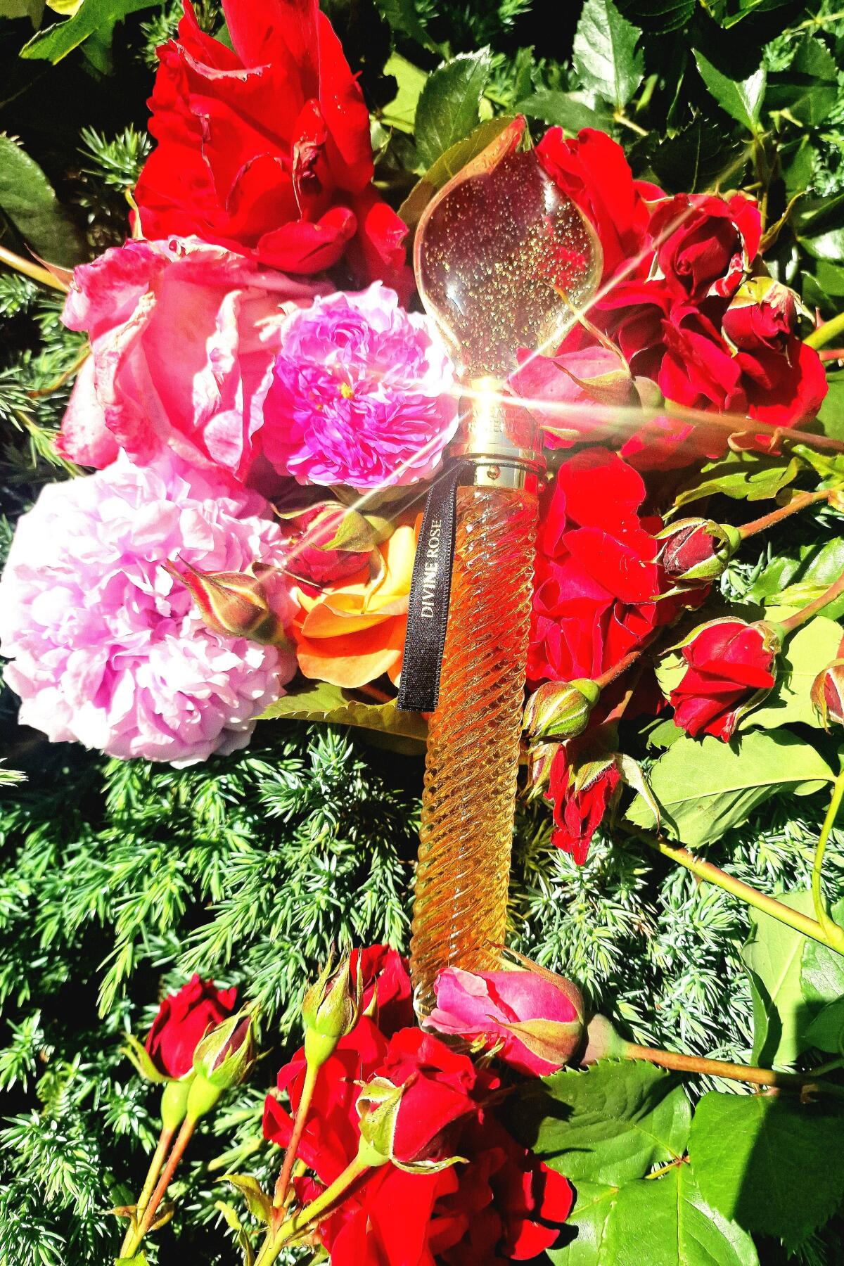 عطر ادکلن دی‌واین رز ده مرچنت آو ونیز - Divine Rose The Merchant of Venice - بررسی، قیمت و خرید