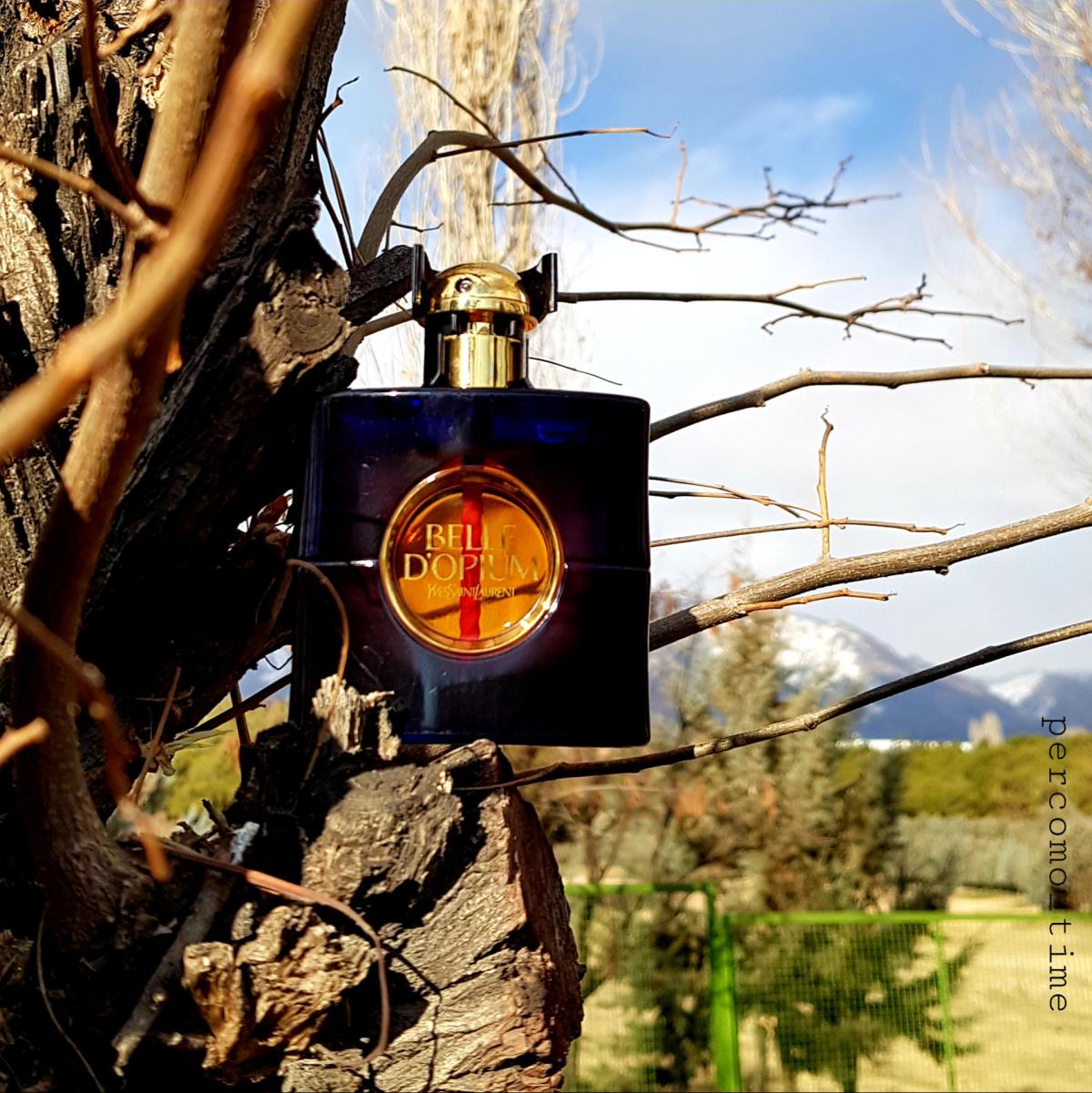 عطر ادکلن بل د اوپیوم ادو پرفیوم اکلت ایو سن لورن - Belle d'Opium Eau de Parfum Éclat Yves Saint Laurent - بررسی، قیمت و خرید