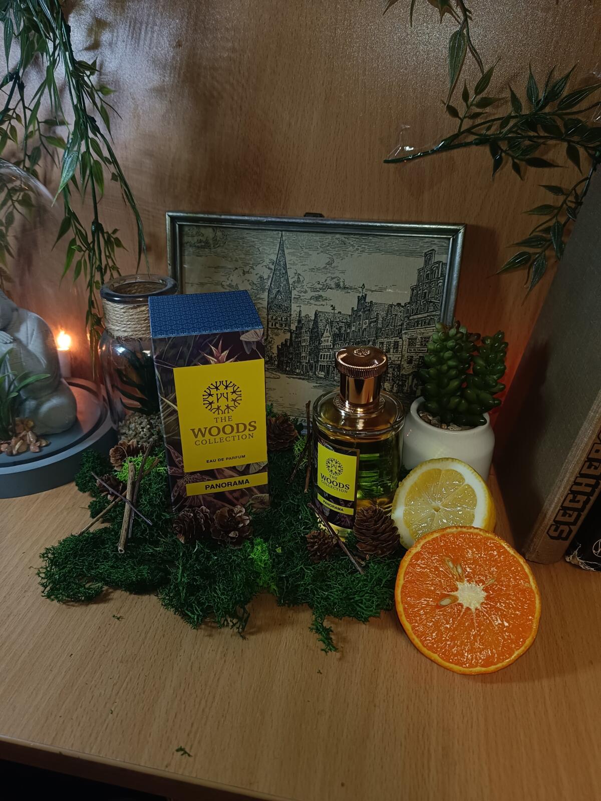 عطر ادکلن پنوراما دی وودز کالکشن - Panorama The Woods Collection - بررسی، قیمت و خرید
