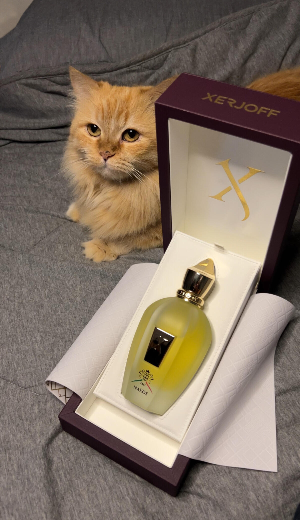 عطر ادکلن ایکس جی ۱۸۶۱ ناکس زرژوف - XJ 1861 Naxos Xerjoff - بررسی، قیمت و خرید