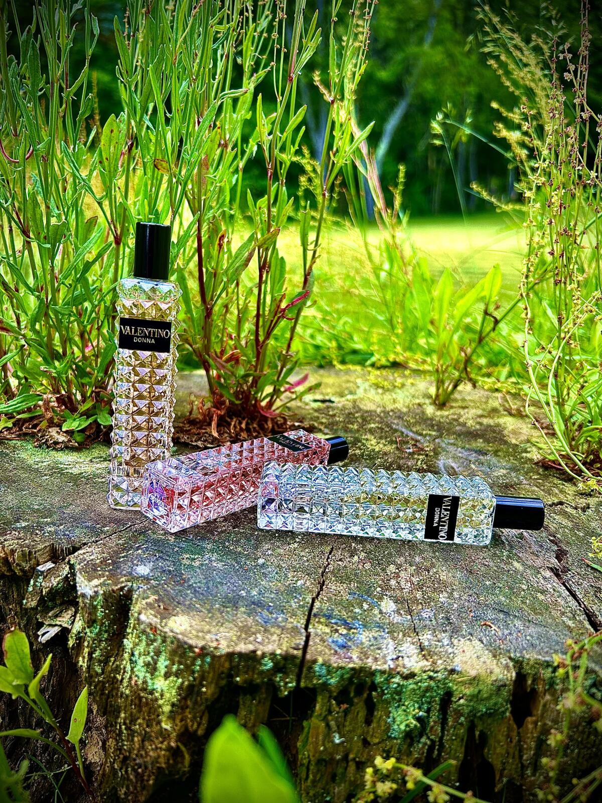 عطر ادکلن ولنتینو دونا بورن این روما کرال فانتزی والنتینو - Valentino Donna Born In Roma Coral Fantasy Valentino - بررسی، قیمت و خرید