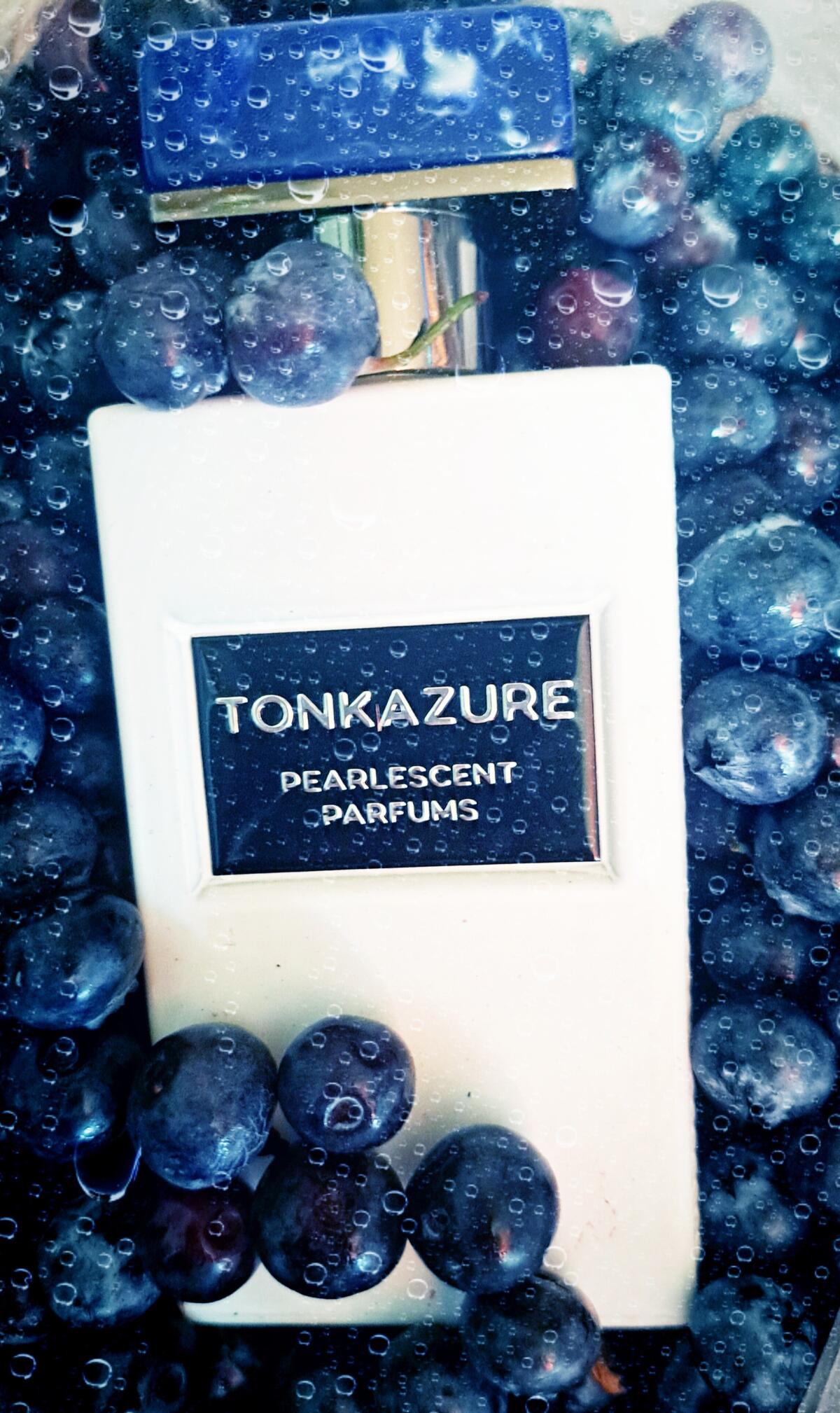 عطر ادکلن تانکازور گالاگر فراگرنسز - Tonkazure Gallagher Fragrances - بررسی، قیمت و خرید