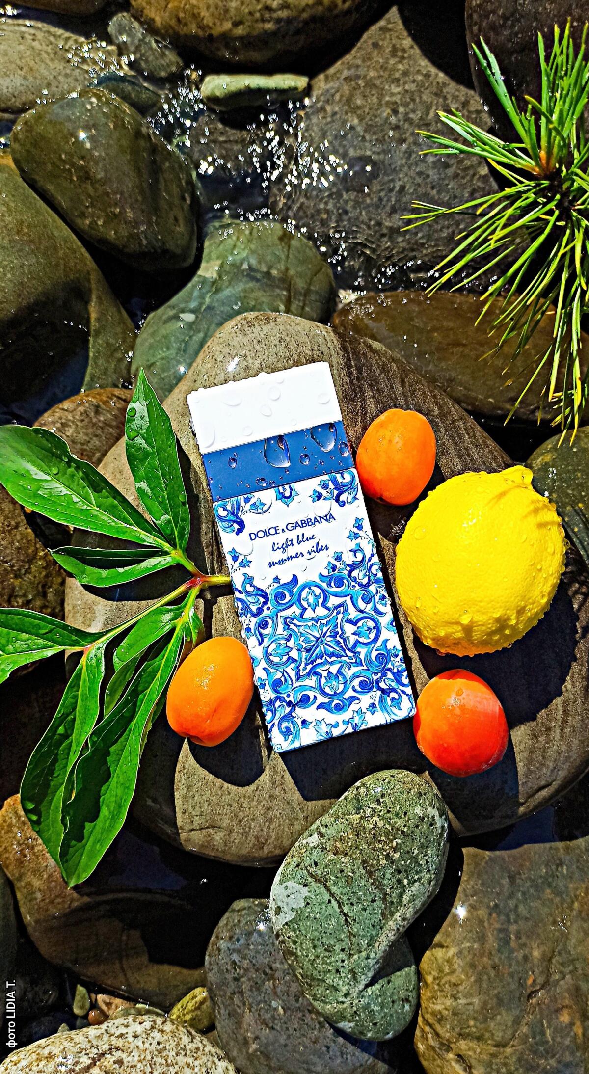 عطر ادکلن لایت بلو سامر وایبز دولچه اند گابانا - Light Blue Summer Vibes Dolce&Gabbana - بررسی، قیمت و خرید