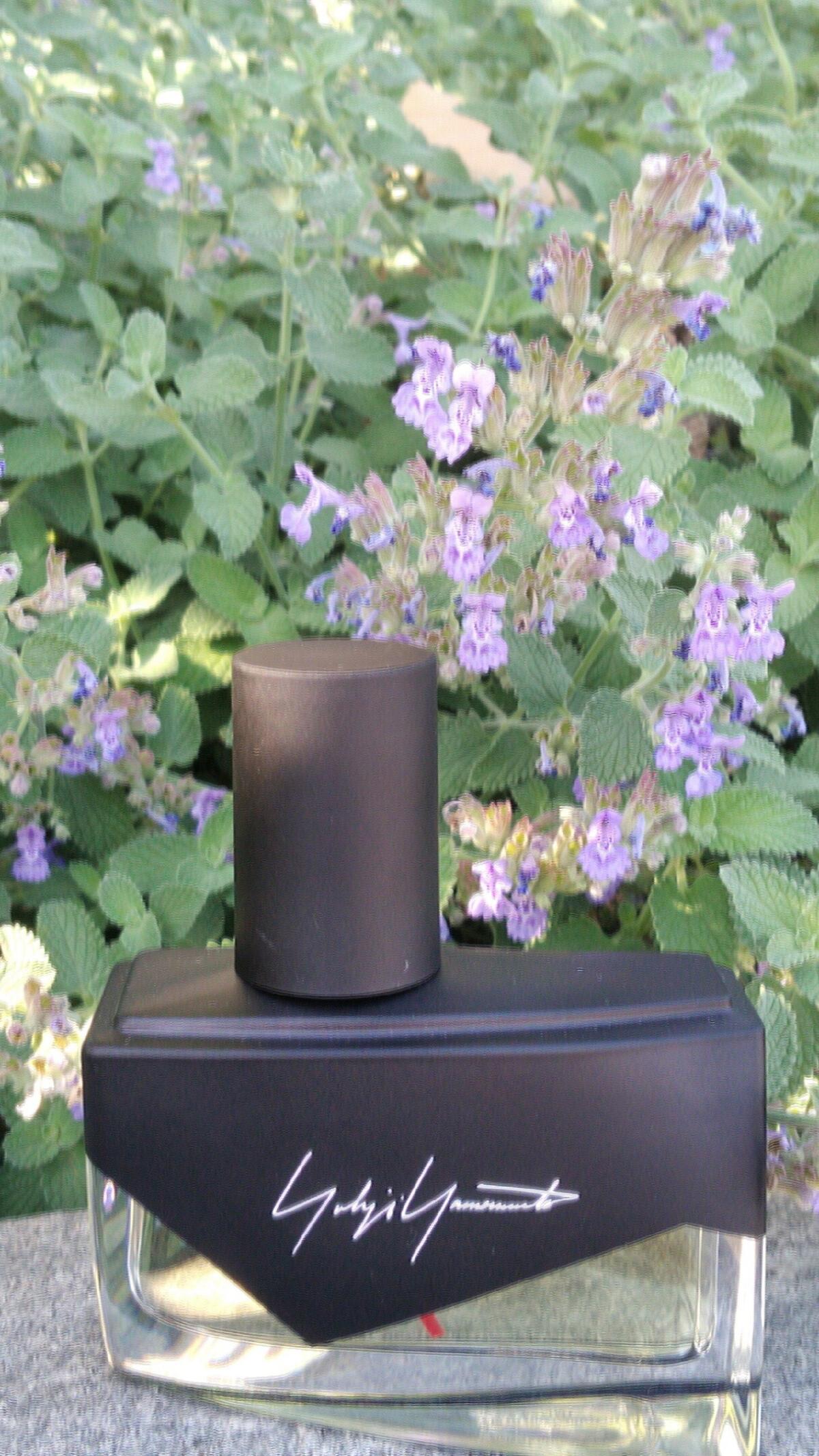 عطر ادکلن آیم نات گوینگ تو دیستورب یو هوم یوجی یاماموتو - I'm Not Going to Disturb You Homme Yohji Yamamoto - بررسی، قیمت و خرید