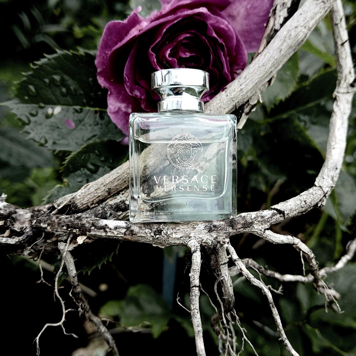 عطر ادکلن ورسنس ورساچه - Versense Versace - بررسی، قیمت و خرید