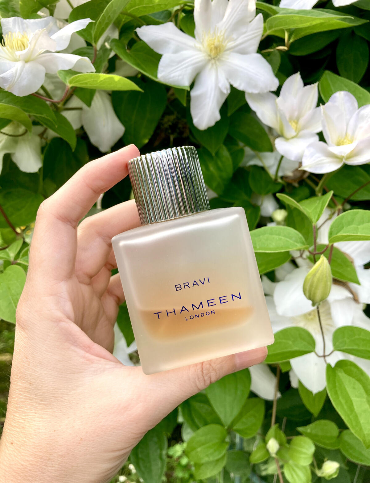 عطر ادکلن براوی ثمین - Bravi Thameen - بررسی، قیمت و خرید