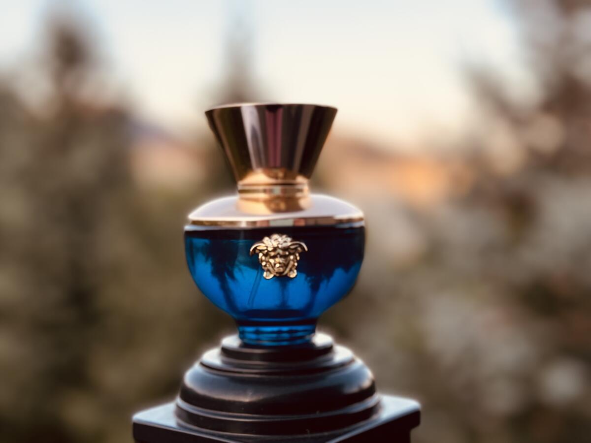 عطر ادکلن ورساچه پور فم دیلان بلو ورساج - Versace Pour Femme Dylan Blue Versace - بررسی، قیمت و خرید