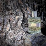 عطر ادکلن او ساواج دیور - Eau Sauvage Dior - بررسی، قیمت و خرید