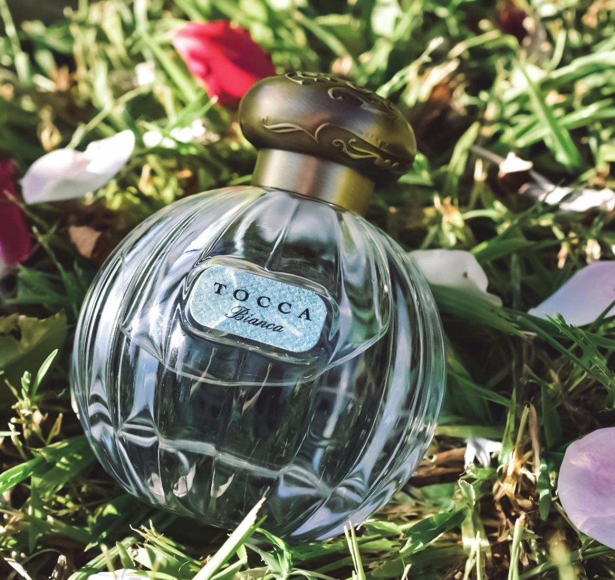عطر ادکلن بیانکا توکا - Bianca Tocca - بررسی، قیمت و خرید