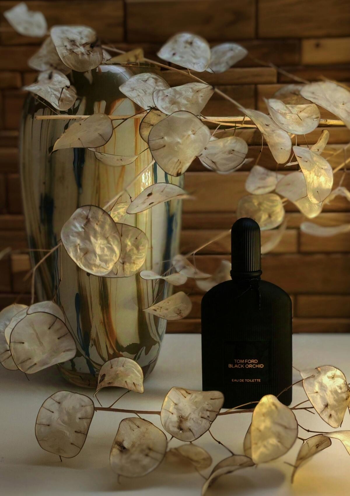 عطر ادکلن بِلَک اُرکید اُ دِ تویلت تام فورد - Black Orchid Eau de Toilette (2023) Tom Ford - بررسی، قیمت و خرید