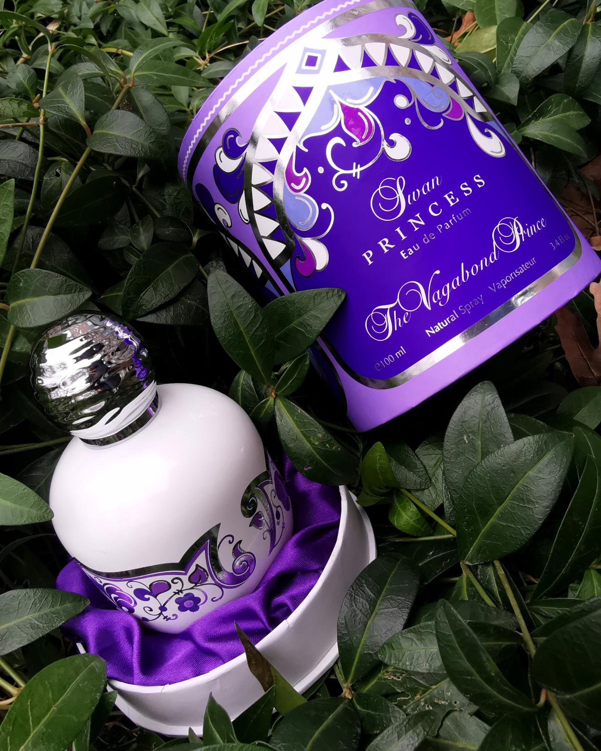 عطر ادکلن سوان پرنسس د وگاباند پرینس - Swan Princess The Vagabond Prince - بررسی، قیمت و خرید