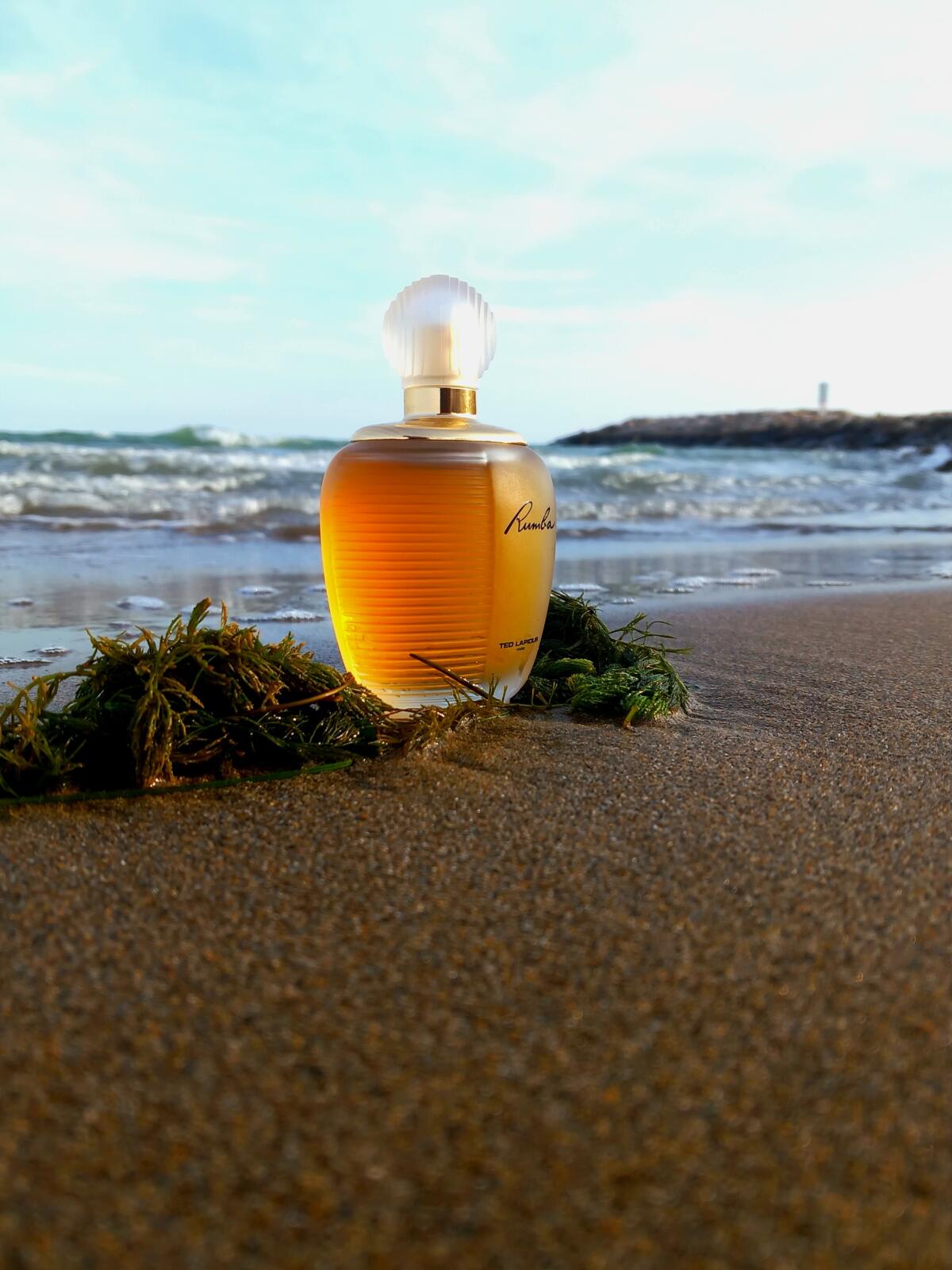 عطر ادکلن رومبا تد لاپیدوس - Rumba Ted Lapidus - بررسی، قیمت و خرید
