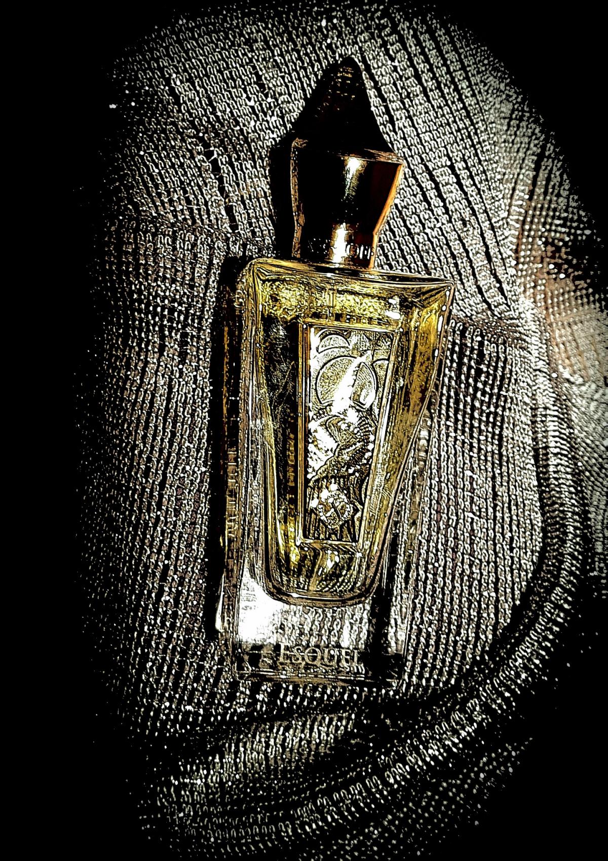 عطر ادکلن اسکل زرژاف - Esquel Xerjoff - بررسی، قیمت و خرید