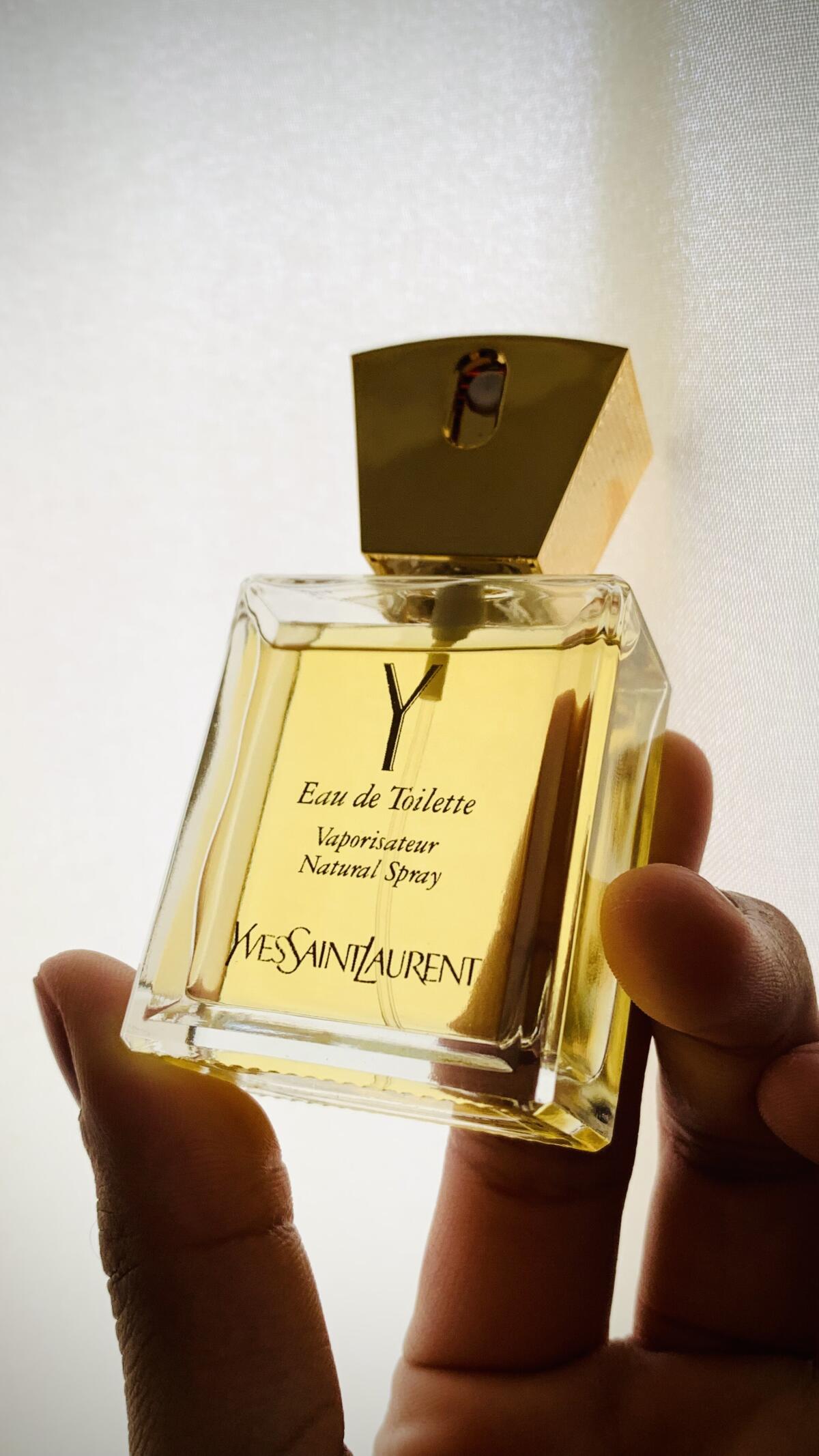 عطر ادکلن وای ایو سن لورن - Y Yves Saint Laurent - بررسی، قیمت و خرید