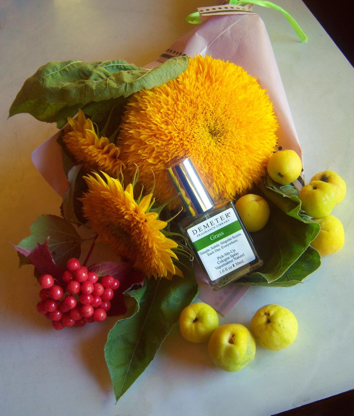 عطر ادکلن گَرَس دیمیتر فراگرنس - Grass Demeter Fragrance - بررسی، قیمت و خرید