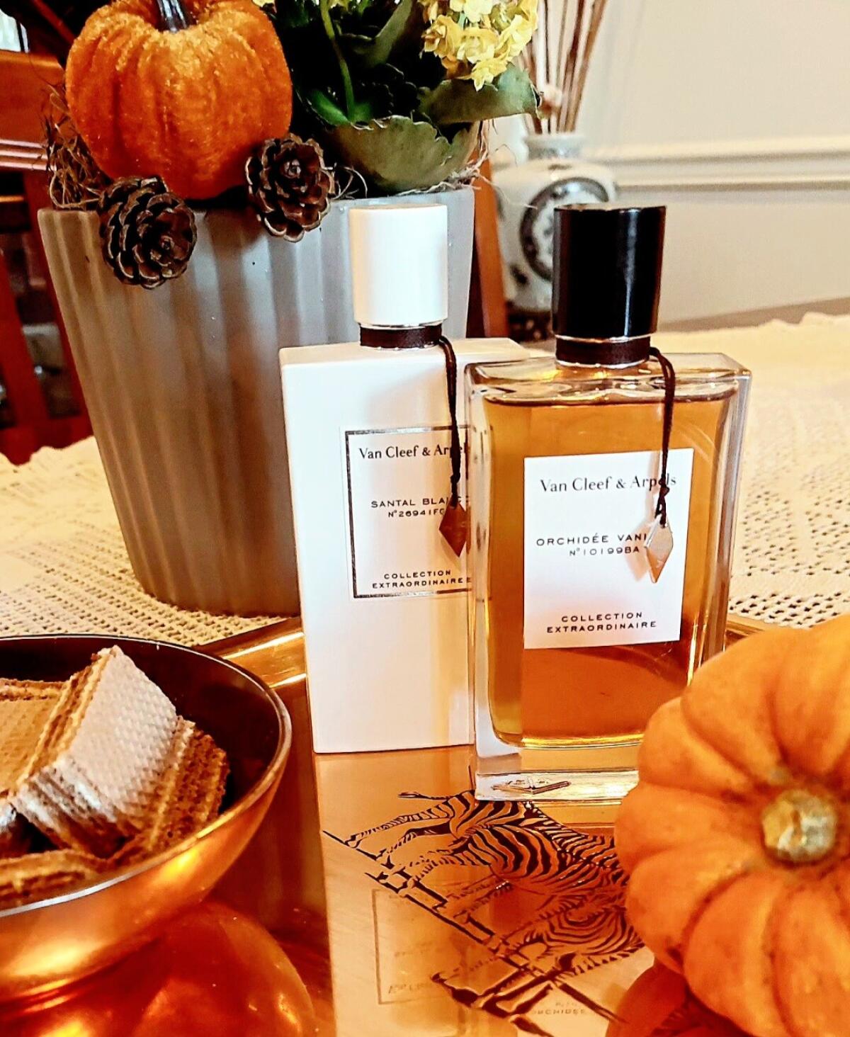عطر ادکلن سانتال بلانک ون کلیف اند آرپلز - Santal Blanc Van Cleef & Arpels - بررسی، قیمت و خرید