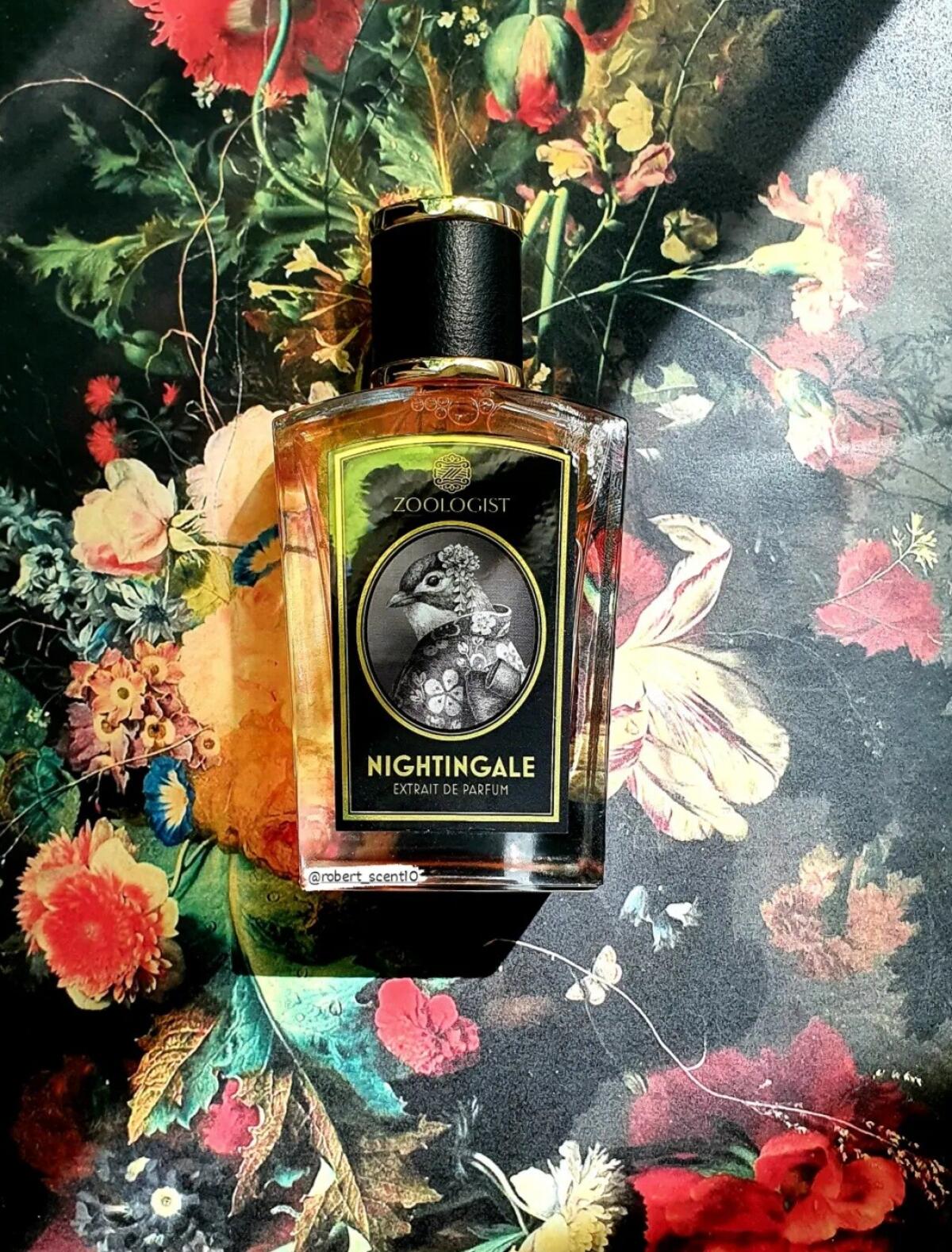 عطر ادکلن نایتینگل زولاجیست پرفیومز - Nightingale Zoologist Perfumes - بررسی، قیمت و خرید