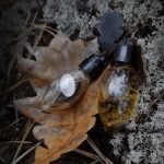عطر ادکلن ژیلیت دزینتارس - Zilite (Желудь) Dzintars - بررسی، قیمت و خرید