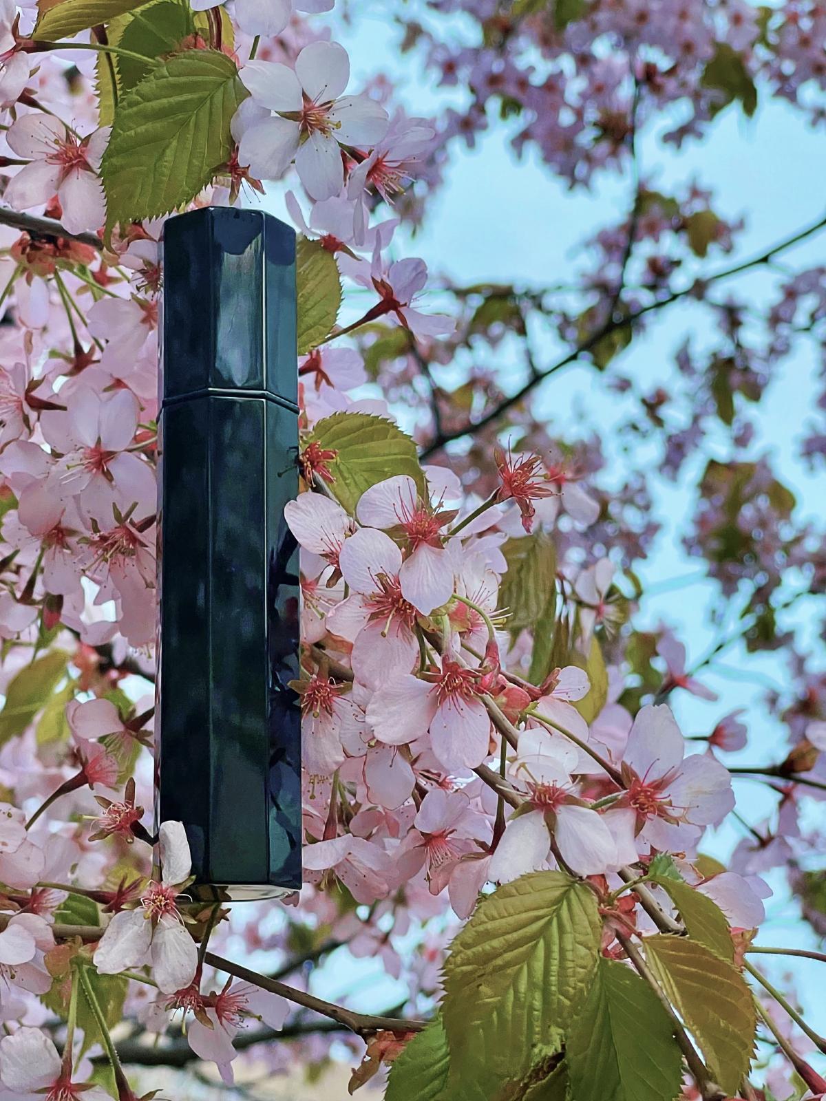 عطر ادکلن آیریس سیلور میست سرژ لوتنس - Iris Silver Mist Serge Lutens - بررسی، قیمت و خرید
