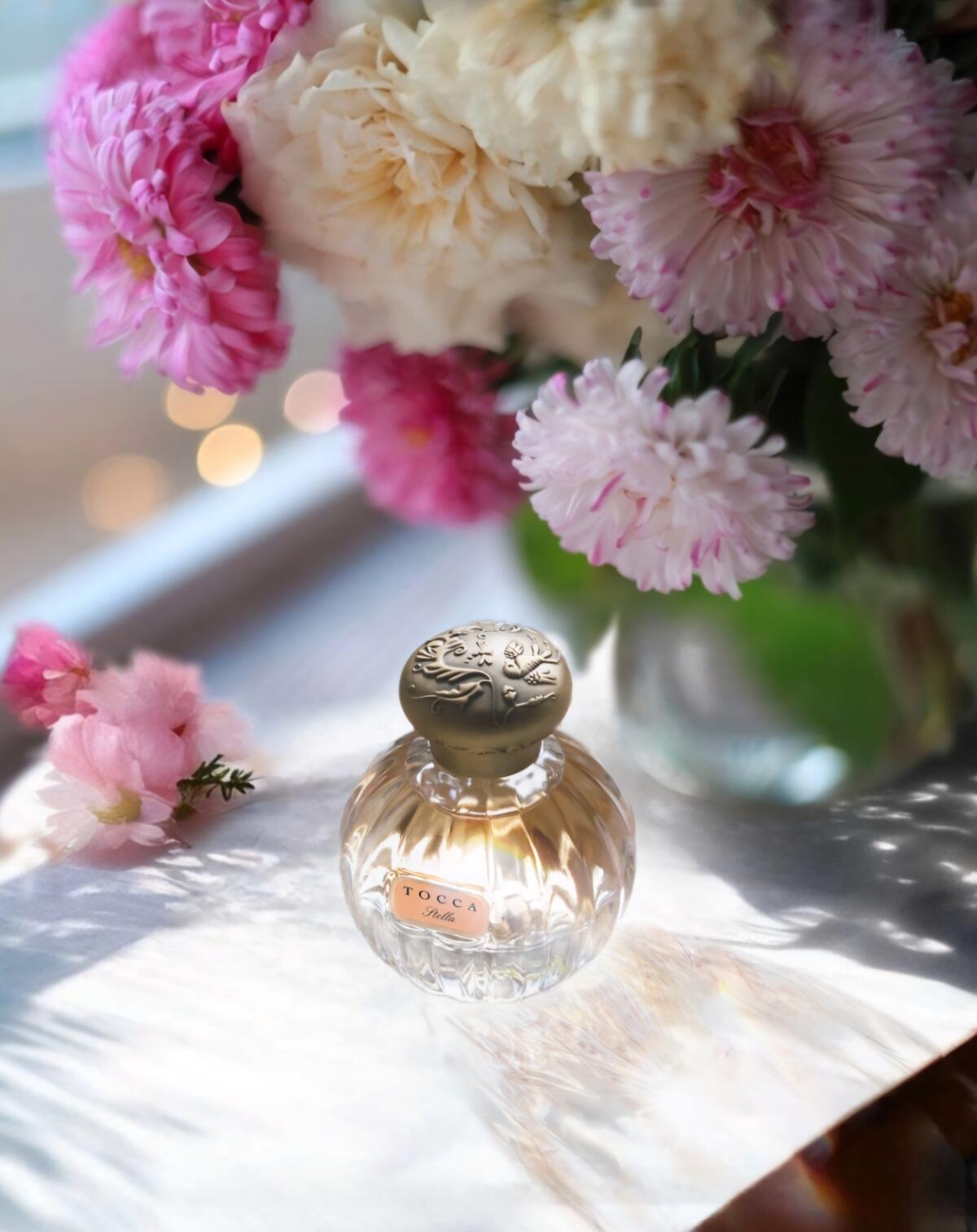 عطر ادکلن استلا توکا - Stella Tocca - بررسی، قیمت و خرید