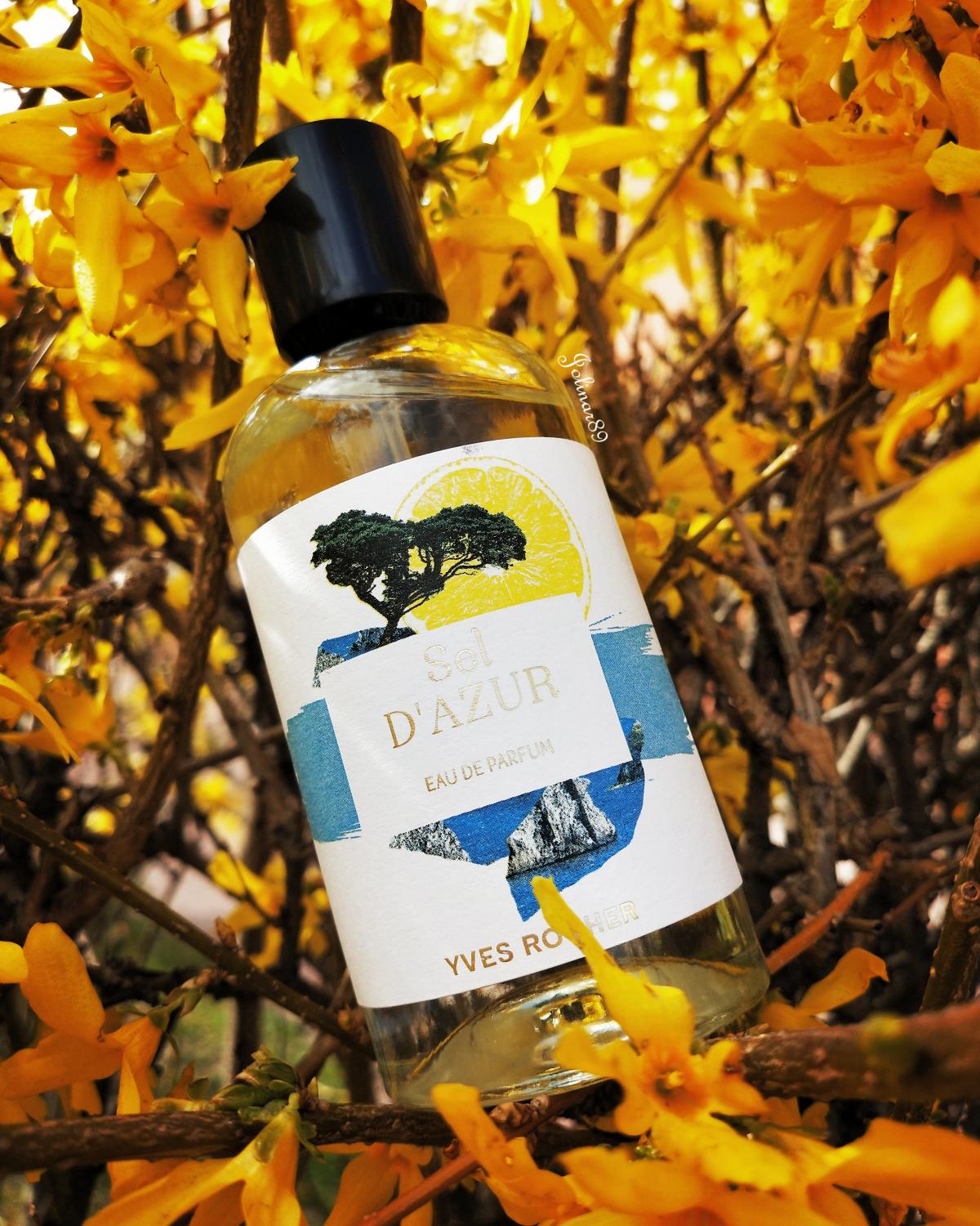 عطر ادکلن سل د ازور ایو روشه - Sel d'Azur Yves Rocher - بررسی، قیمت و خرید