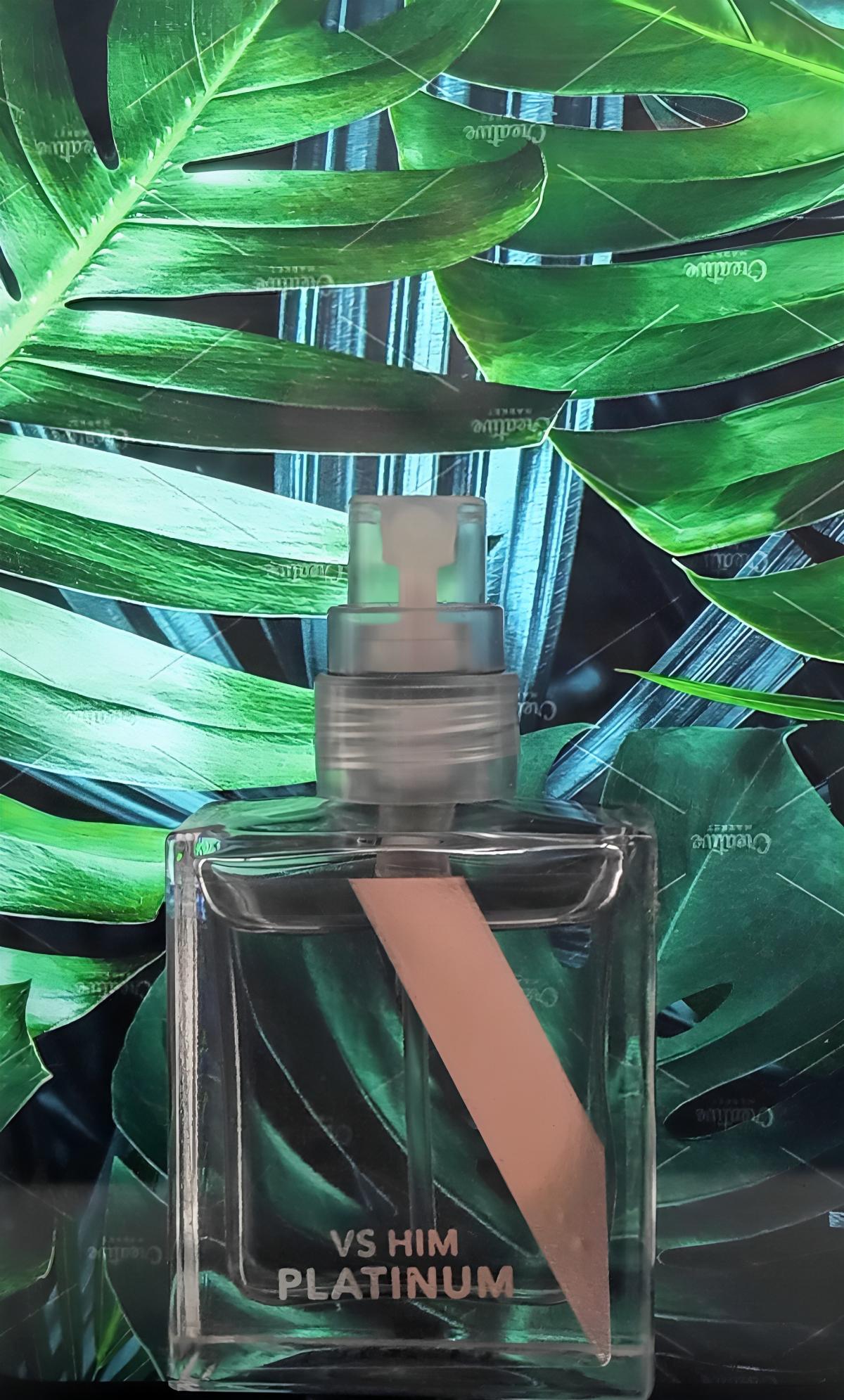 عطر ادکلن وی اس هیم پلاتین ویکتوریا سیکرت - VS Him Platinum Victoria's Secret - بررسی، قیمت و خرید