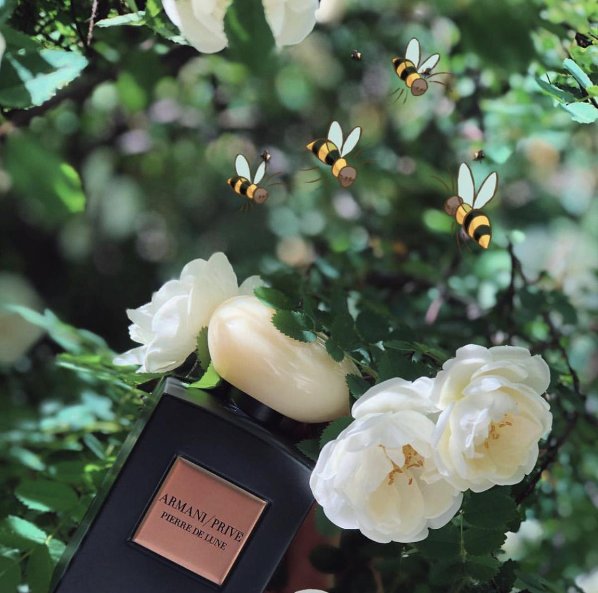 عطر ادکلن پیر د لون جیورجیو آرمانی - Pierre de Lune Giorgio Armani - بررسی، قیمت و خرید