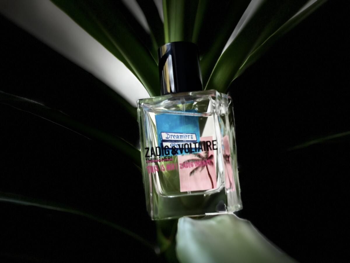 عطر ادکلن دیس ایز هر زدیک دریم زادیک اند وُلتر - This Is Her! Zadig Dream Zadig & Voltaire - بررسی، قیمت و خرید