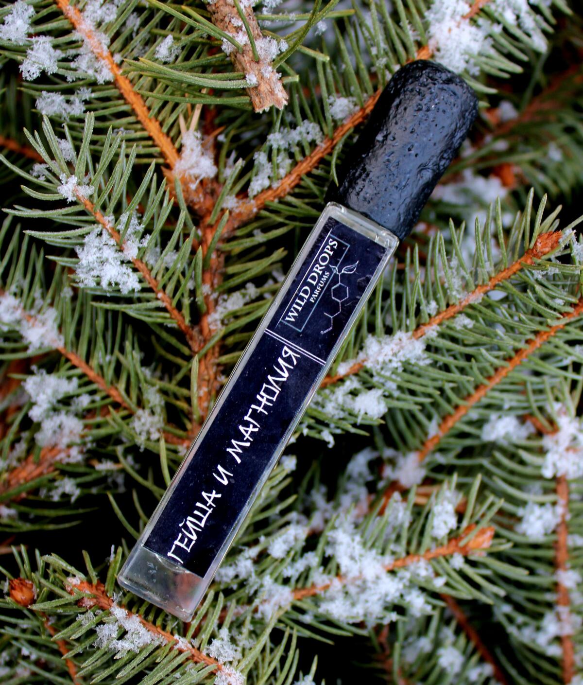 عطر ادکلن گیشا و مگنولیا وایلد دراپس پرفیومز - Geisha & Magnolia (Гейша и Магнолия) Wild Drops Parfums - بررسی، قیمت و خرید