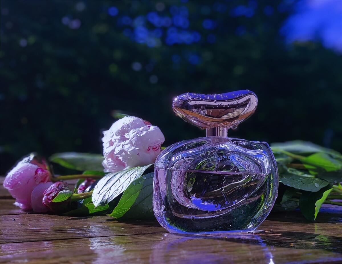 عطر ادکلن ایلومینار وینس کاموتو - Illuminare Vince Camuto - بررسی، قیمت و خرید