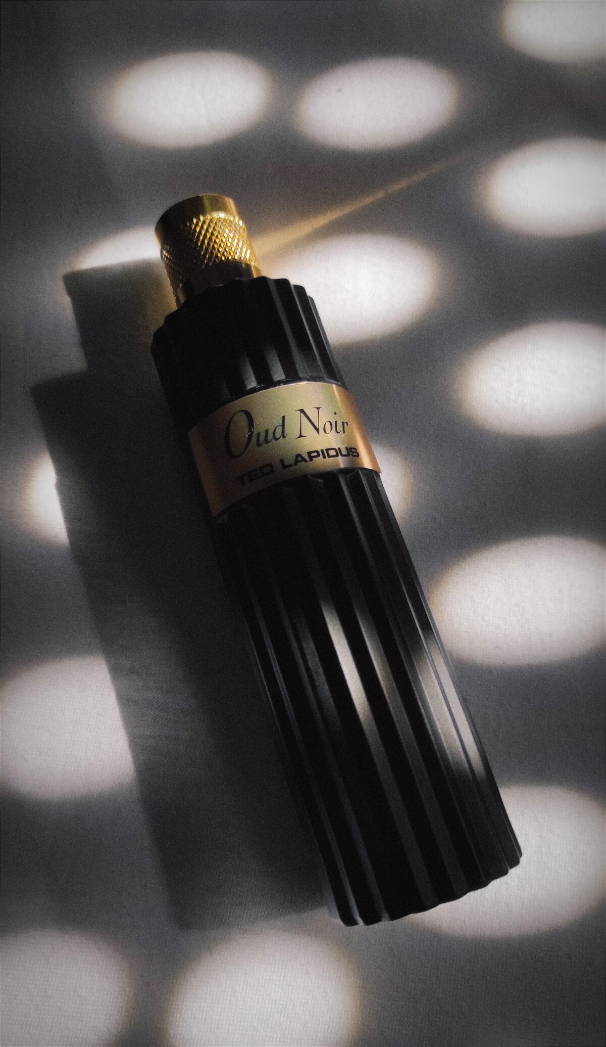 عطر ادکلن اود نوار تد لاپیدوس - Oud Noir Ted Lapidus - بررسی، قیمت و خرید