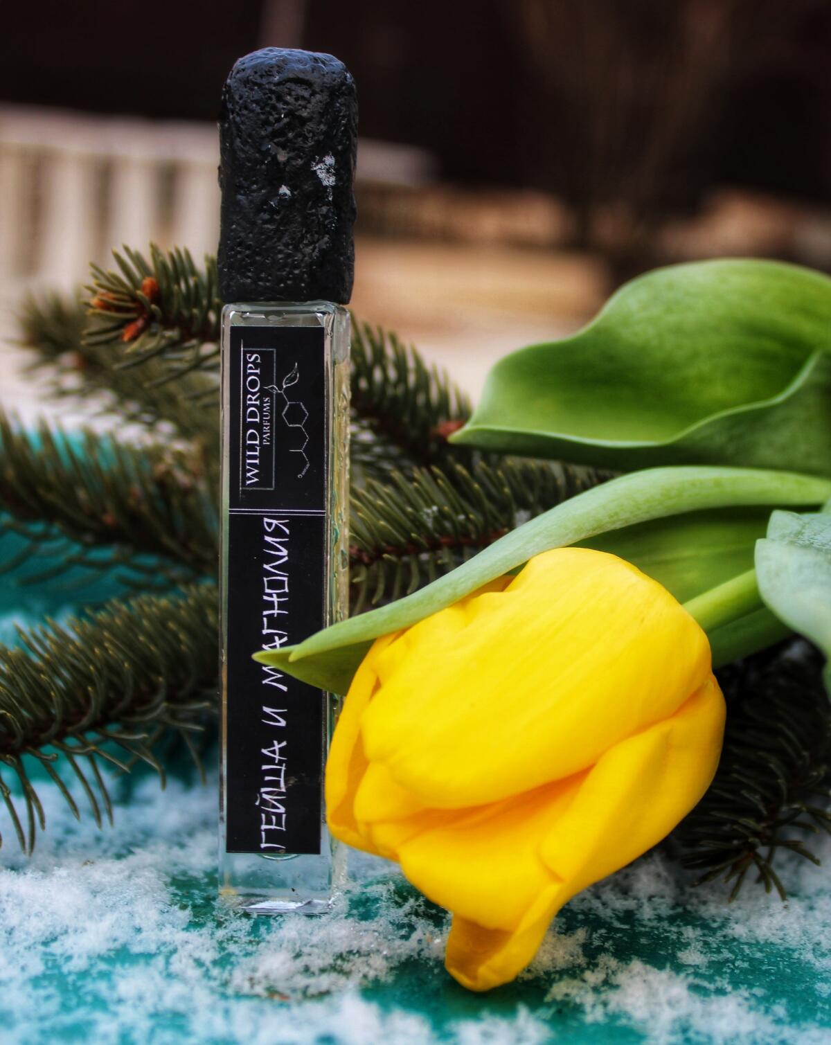 عطر ادکلن گیشا و مگنولیا وایلد دراپس پرفیومز - Geisha & Magnolia (Гейша и Магнолия) Wild Drops Parfums - بررسی، قیمت و خرید