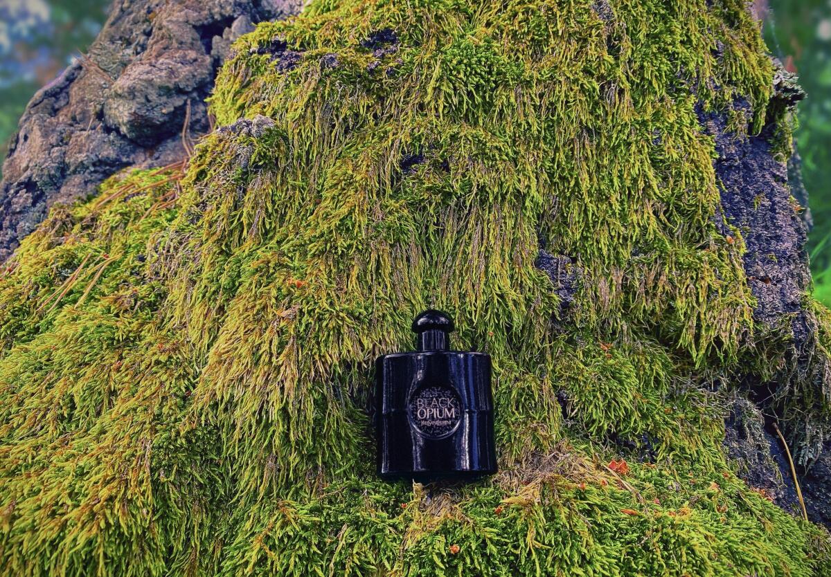 عطر ادکلن بلک اوپیوم له پارفوم ایو سن لوران - Black Opium Le Parfum Yves Saint Laurent - بررسی، قیمت و خرید