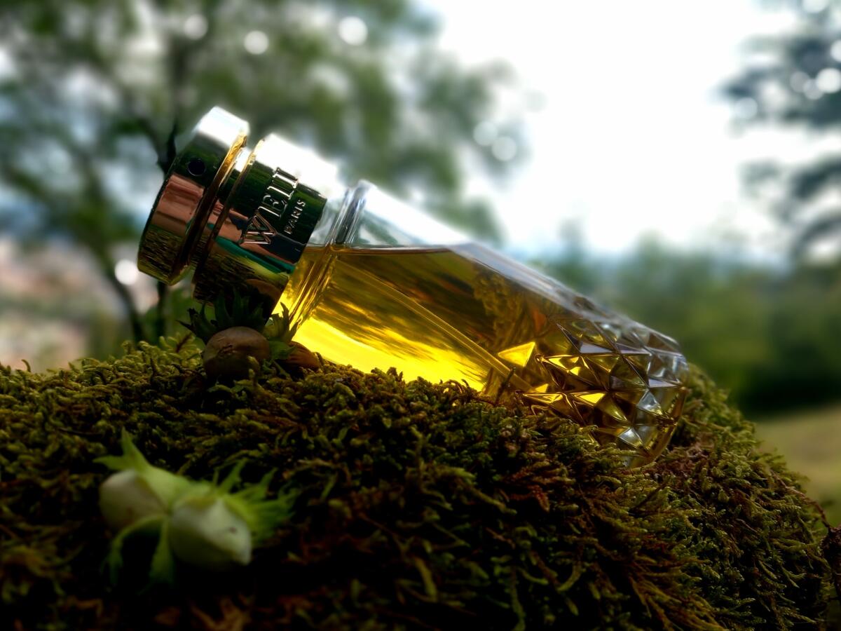 عطر ادکلن ویل له پارفوم ویل - Weil Le Parfum Weil - بررسی، قیمت و خرید