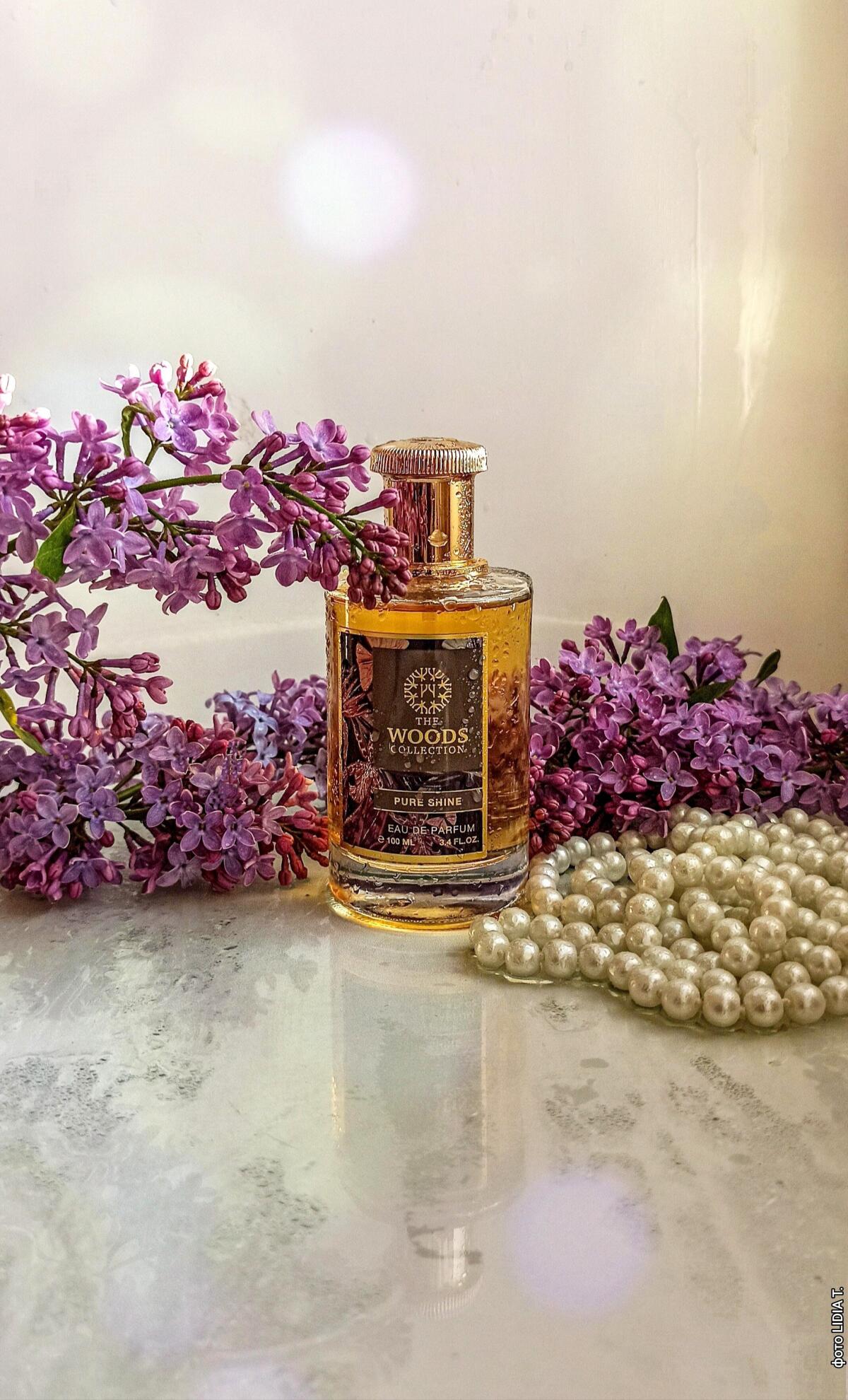 عطر ادکلن پیور شاین ذ وودز کالکشن - Pure Shine The Woods Collection - بررسی، قیمت و خرید