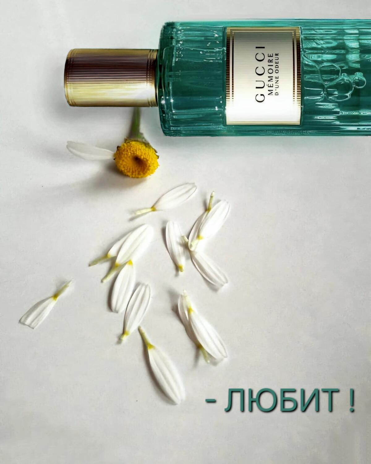 عطر ادکلن ممور دون اودور گوچی - Mémoire d’une Odeur Gucci - بررسی، قیمت و خرید