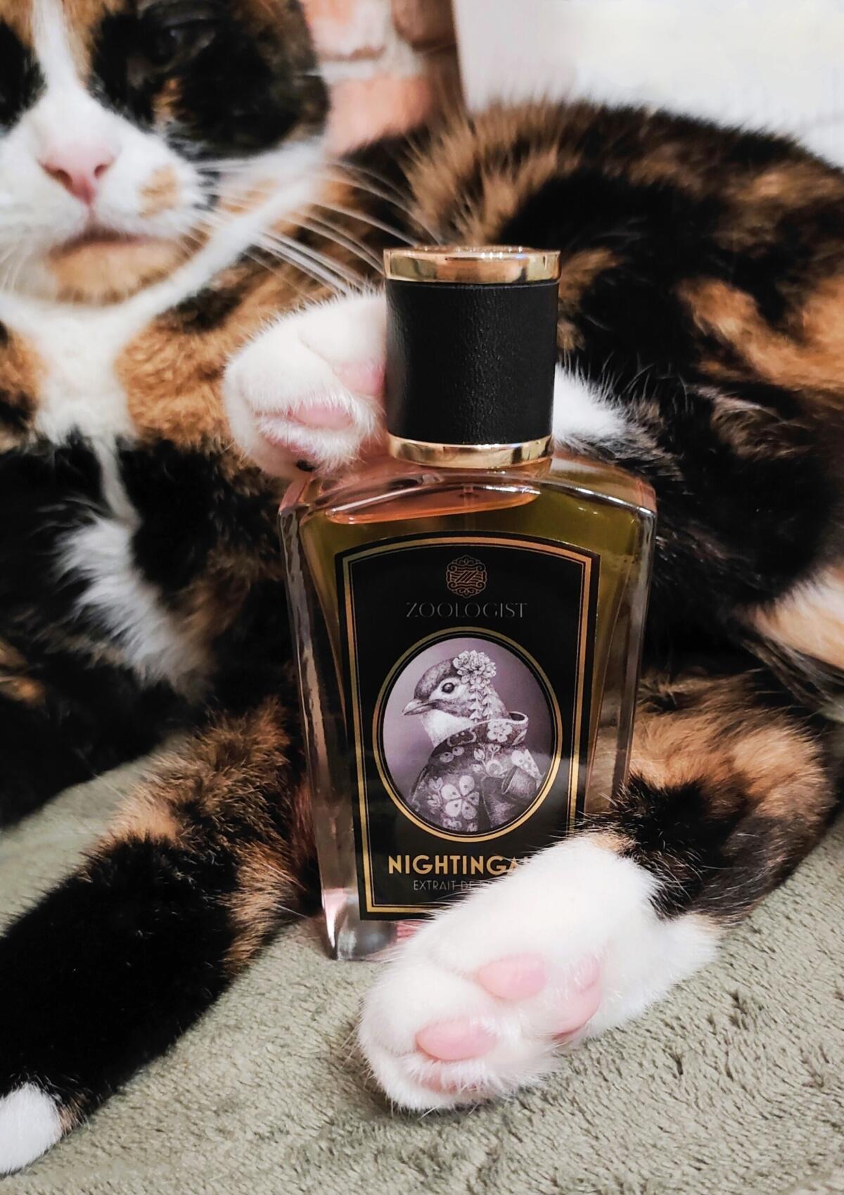 عطر ادکلن نایتینگل زولاجیست پرفیومز - Nightingale Zoologist Perfumes - بررسی، قیمت و خرید